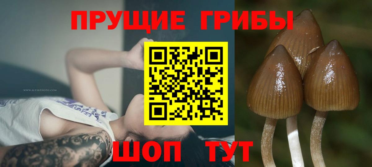 Лянтор  Псилоцибиновые грибы Magic Shrooms  Вход с VPN 
